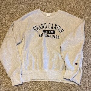 Champion sweatshirt